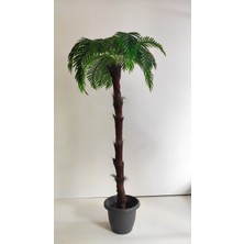 Rüzgar Yapay Çiçekçilik 170 cm Boyunda Areka Ağacı