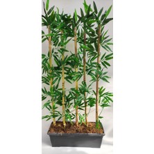 Rüzgar Yapay Çiçekçilik 125 cm Bambu