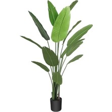 Rüzgar Yapay Çiçekçilik 2.10 cm Yapay Starlice Ağacı