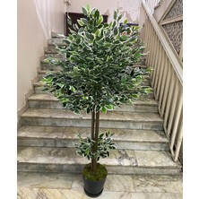 Rüzgar Yapay Çiçekçilik 160 cm Ficus Ağacı