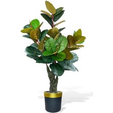 Rüzgar Yapay Çiçekçilik 170 cm Kauçuk Ağacı