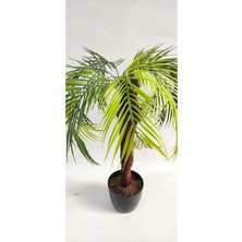 Rüzgar Yapay Çiçekçilik 70 cm Çikas