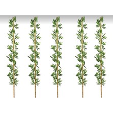 Rüzgar Yapay Çiçekçilik 190 cm 5 Adet Bambu