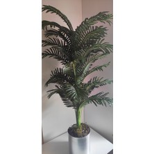 Rüzgar Çiçekcilik Areka 160 cm