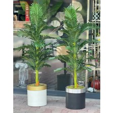 Rüzgar Yapay Çiçekçilik 180 cm 30X30 Saksıda Areka Ağacı