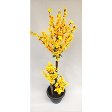 Rüzgar Y Apay Çiçekçilik 145 cm Sarı Bahardalı