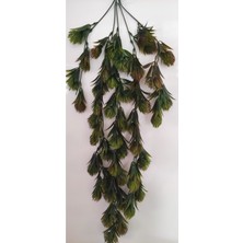 Rüzgar Çiçekcilik Sarmaşık 65 cm