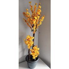 Rüzgar Çiçekcilik 140 cm Sarı Bahardali