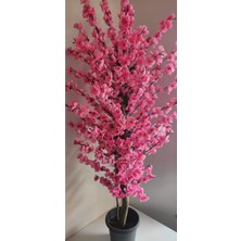 Rüzgar Çiçekcilik 145 cm Plastik Saksıda Pembe Bahardali