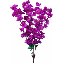 Rüzgar Çiçekcilik Mor Bahardali 40 cm
