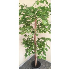 Rüzgar Çiçekcilik 180 cm Sakura Ağacı