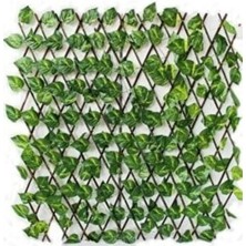 Rüzgar Çiçekçilik 120X320 Large Boy