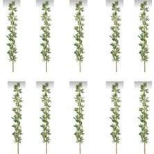 Rüzgar Yapay Çiçekçilik 190 cm 10 Adet Bambu