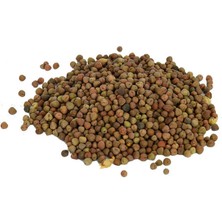 Elma Shop Doğal Burçak Tohumu 100 gr Paket