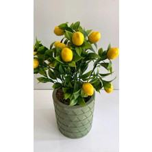 Rüzgar Yapay Çiçekçilik 35 cm Limon Ağacı