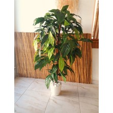 Yapay Ceviz Ağacı 60 cm Yapay Ağaç Büyük Yeşil Geniş Yaprak