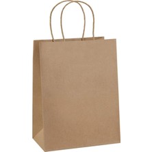 Retapack 25X12X31 Burgu Saplı 70GSM Recycle Kraft Kağıt Hediyelik Poşet 10 Adet