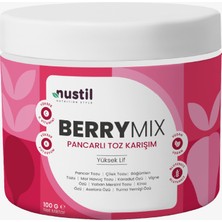Nustil Berry Mix Orman Meyveli Toz Karışım 100G