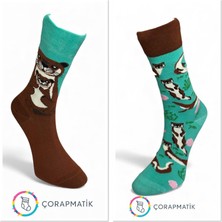 Çorapmatik Sağlı Sollu Su Samuru Desenli Renkli Çorap