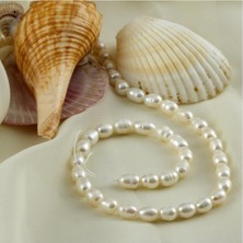 Datatek 6 mm Dizi Inci