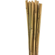 Hepta Collection KKS110 Koko Sarmaşık Çubuğu - 110 cm