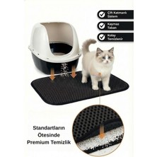 Pugalo Kedi Paspaslar