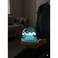 Belkıs Kırtasiye Fanus Lale Bahçesi Tasarımlı Geceve Masa Lambası Sevgiliye Hediye