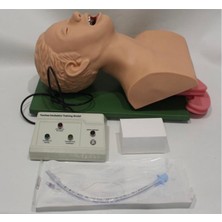 Erl Yetişkin Entübasyon Eğitim Maketi