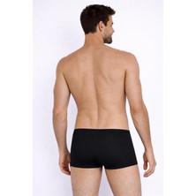 Ayyıldız 209 Erkek Siyah Boxer Mayo