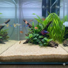 Silis Kum Akvaryum Kumu 5 kg Dekorasyon Kumu