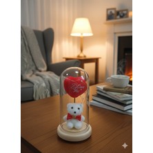 Belkıs Kırtasiye Ahşap Tabanlı Ayıcaklı Cam Fanus Sevgililer Günü Hediyesi