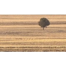 TŞT Opel Astra Arka Tampon Bandı Station Wagon Sol 2004- 2007 (Oem No:  1404197)