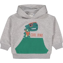Civil Boys Dino Baskılı 2-5 Yaş Sweatshirt - Gri 2-3 Yaş
