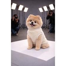 Kırık Beyaz Peluş Köpek Üstü