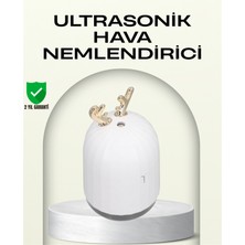 Flamex Abs+Pp Malzemeli Taşınabilir 220 ml USB Mist Nemlendirici
