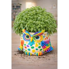 Mini Bahçıvan – 3D Saksı Boyama ve Fesleğen Yetiştirme Aktivite Seti