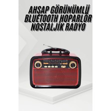 İntora Nostalji Radyo Bluetooth Hoparlör Usb-Sd Kart Giriş LED Fener Işıklı Bataryalı Pilli
