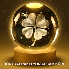 Yonca Bitki Figürlü LED Işıklı Cam Küre USB Ahşap Standlı Gece Lambası