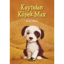 Lokiboo Kaybolan Köpek Max