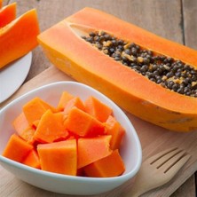 Yavuz Fidancılık Papaya Fidanı 3 Yaş 170 cm (2 Adet)