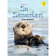 Lokiboo Ilk Okuma - Su Samurları