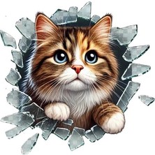 Sb Shopping Fulcar Stray Araç Stickerı