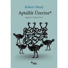 Lokiboo Aptallık Üzerine