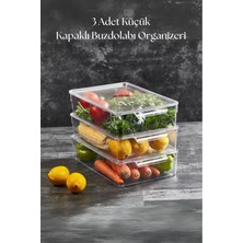 LTG Nova 3 Lü Kapaklı Buzdolabı Organizeri & Buzdolabı Düzenleyici 3 Lt