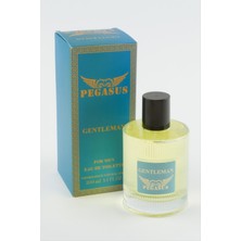 SHC4200 Pegasus Gentleman Bay Parfüm