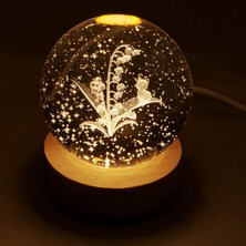 Starseven Kedi ve Çiçek Motifli Cam Küre