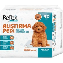 Hype Store Köpek Alıştırma Pedi