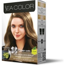 Sea Color Set Saç Boyası 7.3 Fındık Kabuğu