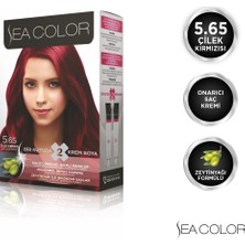 Sea Color Set Boya 5.65 Çilek Kırmızısı