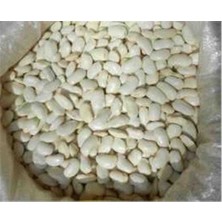 CBM Bombay Iri Fasulye 150 Kilo